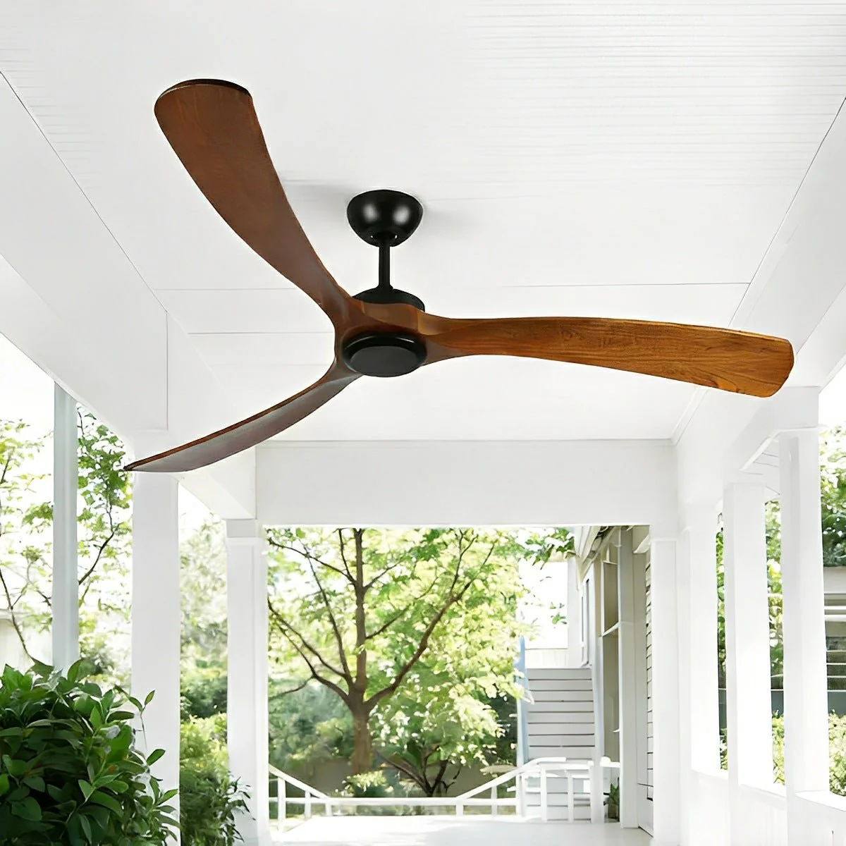 Outdoor & Garden & Patio